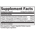 Load image into Gallery viewer, peaceful-sleep-90-capsules