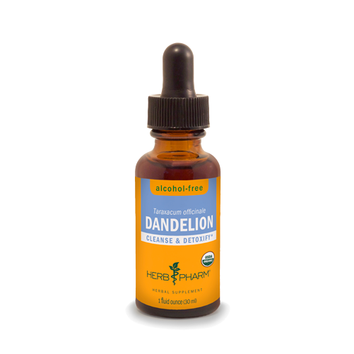 DANDELION ALCOHOL FREE 1 fl oz