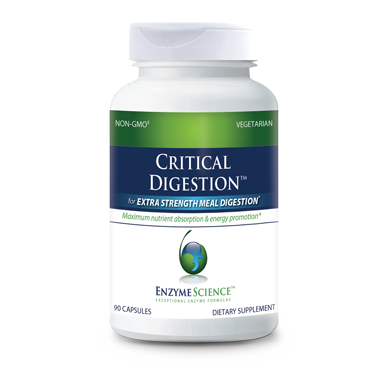 Critical Digestion® 90 Capsules