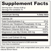 fizzy-mag-75-servings