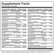 the-big-one-with-iron-90-capsules