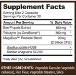 Load image into Gallery viewer, Propolis Complete Gut Health 60 Capsules
