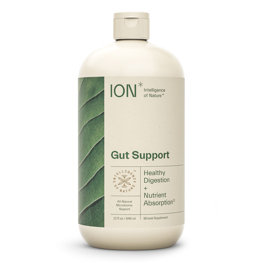 ION* Gut Support 32 fl oz