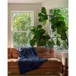 Load image into Gallery viewer, A luna blue cotton duvet cover on a pink sofa with a large green plant [44422682083547, 45027100033243]
