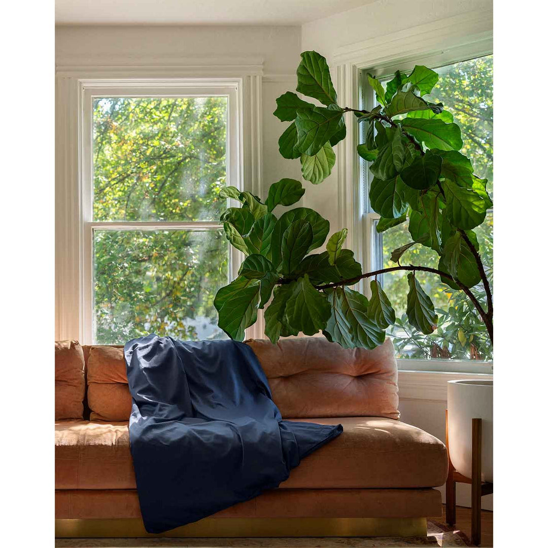 A luna blue cotton duvet cover on a pink sofa with a large green plant [44422682083547, 45027100033243]