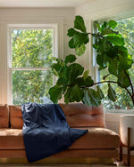 Load image into Gallery viewer, A cotton duvet tossed over the back of a sofa next to a large plant and a window [46061921763547, 46063268331739, 46061921632475, 46061921501403, 46061921370331, 46730786668763, 46730786930907, 46730787193051, 46730787455195]
