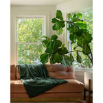 Load image into Gallery viewer, A weighted throw with a spruce cotton cover is thrown over the back of a pink sofa, next to a large green plant and window [44422682116315]
