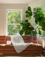 Load image into Gallery viewer, A white cotton duvet over a sofa next to a singing bowl [46063267610843, 46301205004507, 46063267643611, 46301205135579, 46063267676379, 46063267709147, 46301205266651, 46063268397275, 46301204873435, 46730786603227, 46730786865371, 46730787127515, 46730787389659]
