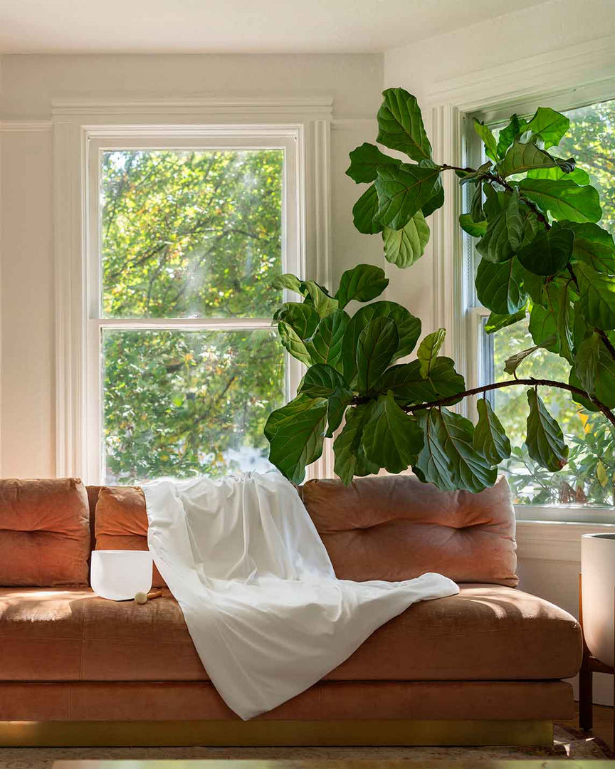 A white cotton duvet over a sofa next to a singing bowl [46063267610843, 46301205004507, 46063267643611, 46301205135579, 46063267676379, 46063267709147, 46301205266651, 46063268397275, 46301204873435, 46730786603227, 46730786865371, 46730787127515, 46730787389659]