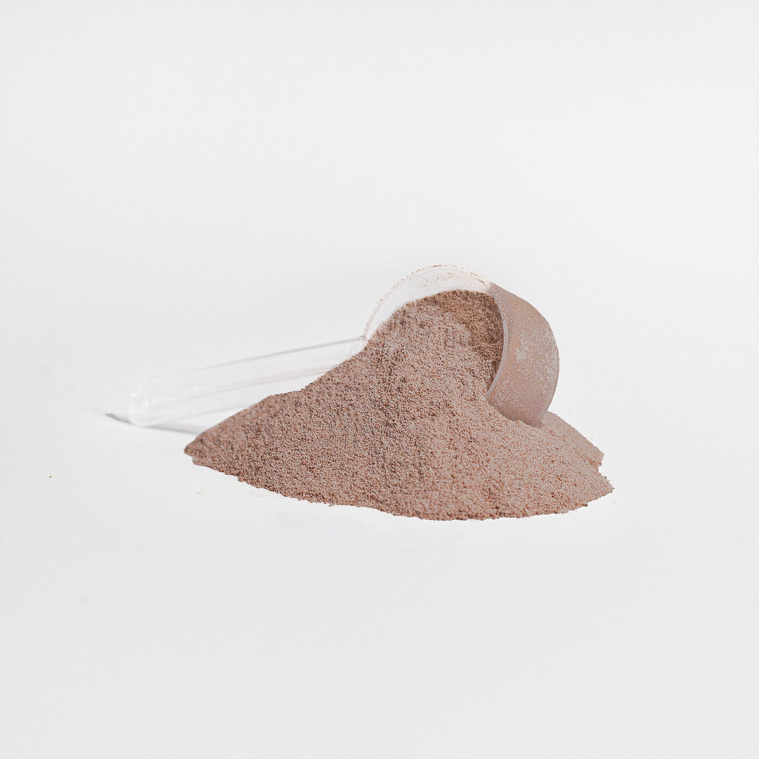 HEALTHIQ Whey Protein Isolate (Chocolate)