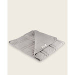 Load image into Gallery viewer, a folded lap blanket silver sage [43936127221979]
