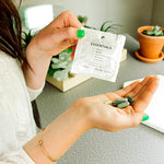 Load image into Gallery viewer, Gut Reboot System
