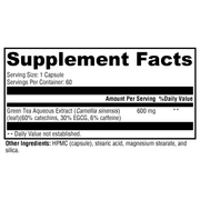 green-tea-600-60-capsules supplement details. For any questions contact us at contact@goldenhealthquest.com
