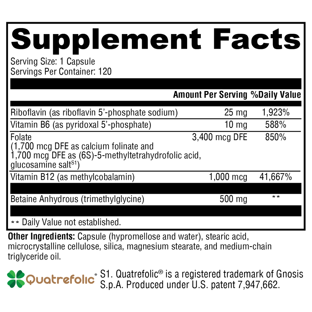 methyl-protect-120-capsules supplement details. For any questions contact us at contact@goldenhealthquest.com