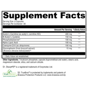 neuroactives-brainsustain-120-capsules supplement details. For any questions contact us at contact@goldenhealthquest.com