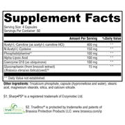 neuroactives-brainsustain-240-capsules supplement details. For any questions contact us at contact@goldenhealthquest.com