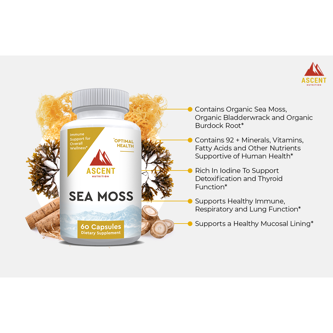 Ascent Nutrition Sea Moss Benefits