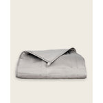 Load image into Gallery viewer, A folded silver sage blanket on a plain background. [42952280801499, 43631556591835, 43631556952283, 43631557968091,45574417842395, 45574417973467, 45574418039003, 45574418104539]
