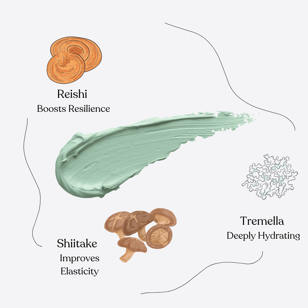 Era Remedies - Trio Mushroom Moisturizer - 50 mL