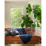 Load image into Gallery viewer, A luna blue weighted blanket 12lb on a pink sofa next to a gray pillow and large fig tree [43649942782171, 45574417875163]
