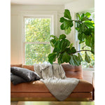 Load image into Gallery viewer, A silver sage weighted blanket on a pink sofa with a fig tree [44385233076443]
